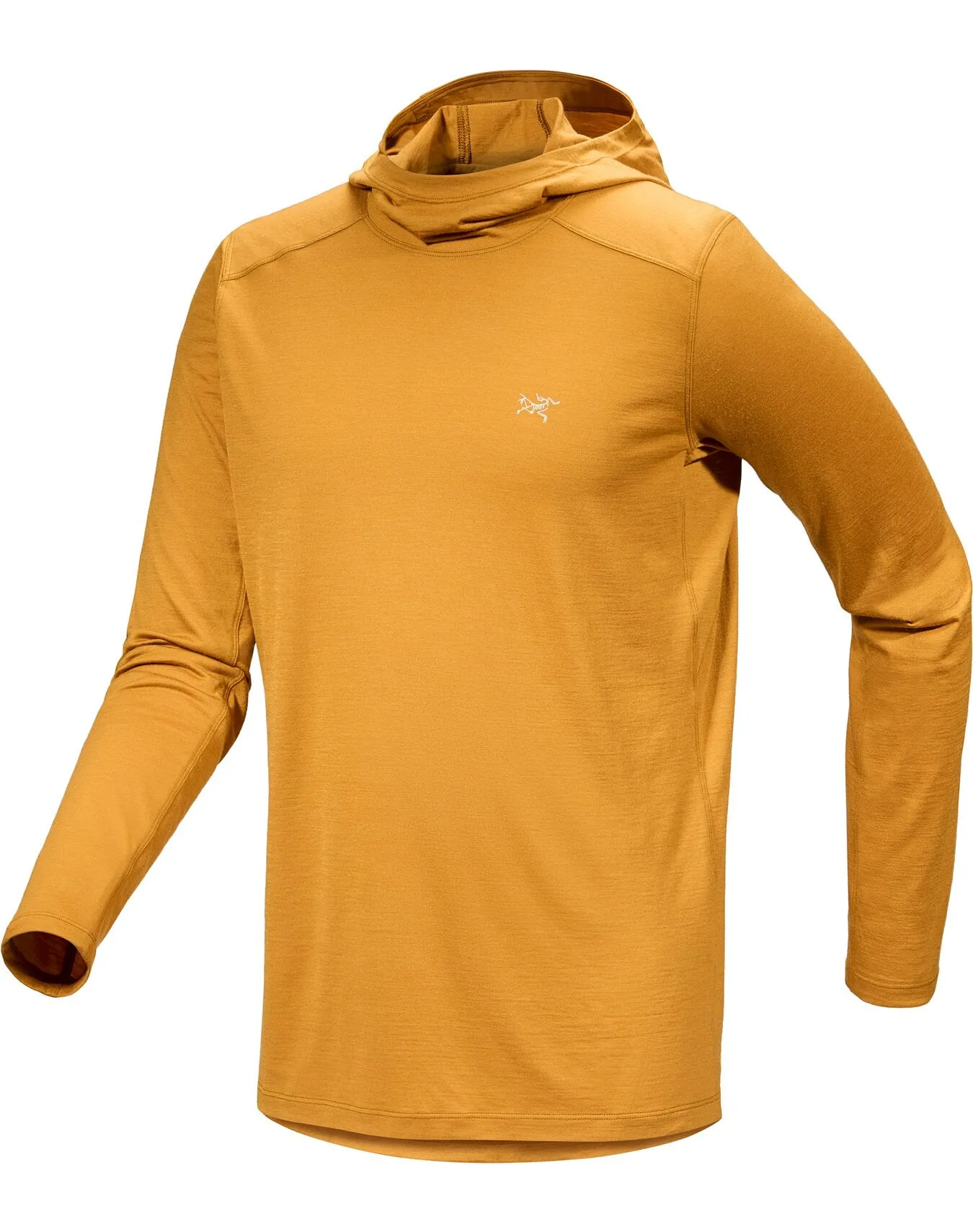 Men's Ionia Merino Wool Hoody (Past Season)